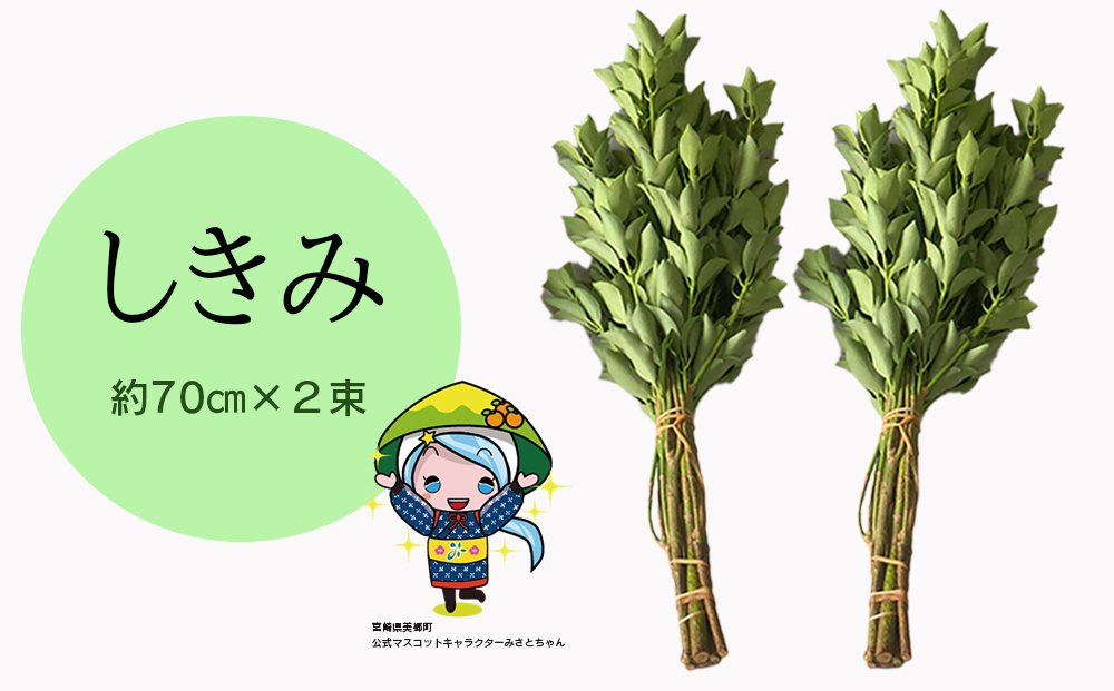 y{茧z  2 Zbg 70cm [݉ {茧  31ay0004]  VL~ ފ   ފ Q {茧Y Y ①