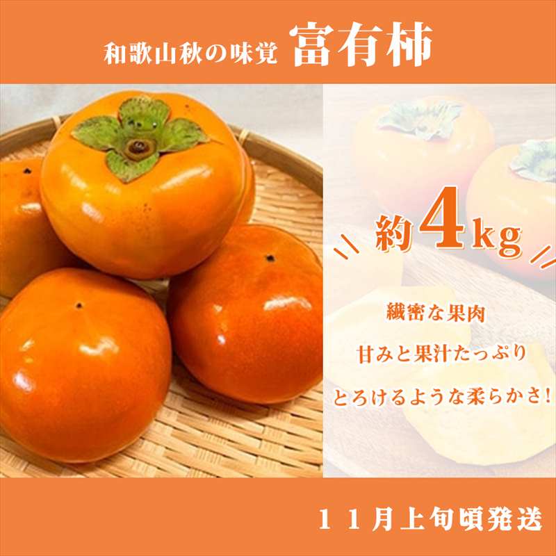 ふるさと納税 湯浅町 和歌山秋の味覚　富有柿　約4kg　化粧箱入
