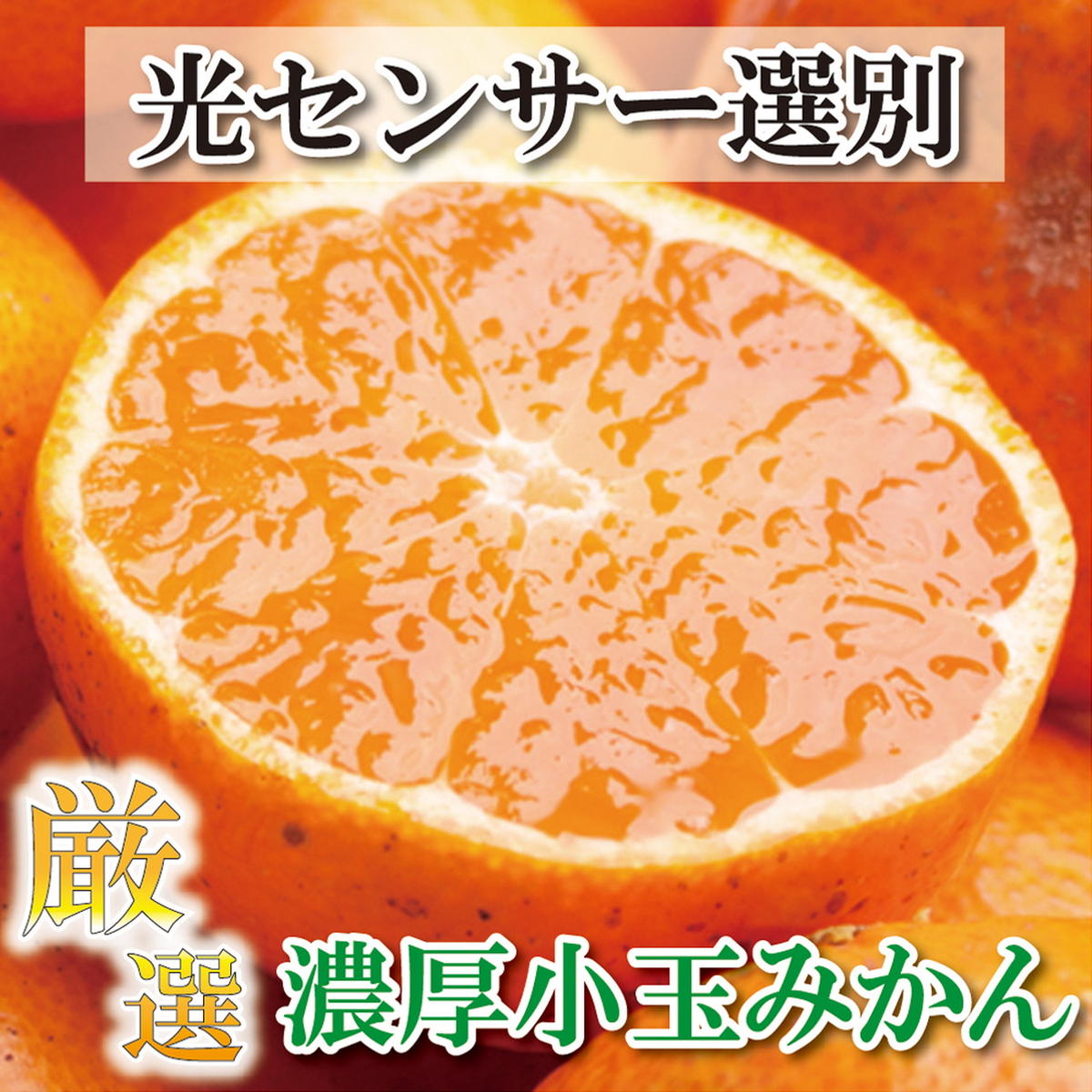 ＜11月より発送＞厳選 小玉な有田みかん7.5kg+225g（傷み補償分）【光センサー選果】※北海道・沖縄・離島への配送不可　※2024年11月中旬～12月下旬頃に順次発送予定