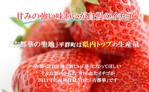 奈良県平群町のふるさと納税 平群の古都華 いちご 食べ比べ （Mサイズ Lサイズ 2Lサイズ 各1パック+1パック）計4パック