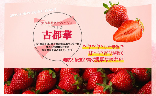 奈良県平群町のふるさと納税 平群の古都華 いちご 食べ比べ （Mサイズ Lサイズ 2Lサイズ 各1パック+1パック）計4パック