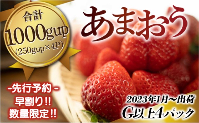 いちご人気返礼品ランキング（毎日更新） | ふるさと納税サイト「ふるさとプレミアム」