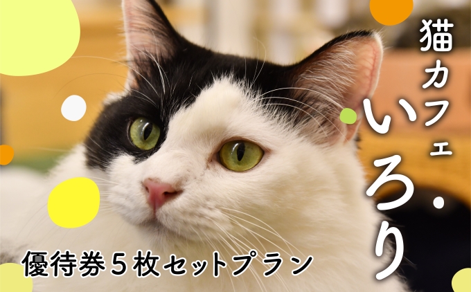 猫カフェいろり　ご利用優待券（1時間分）×5枚セット