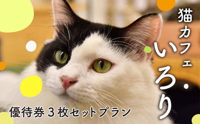 猫カフェいろり　ご利用優待券（1時間分）×3枚セット