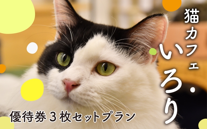 【静岡県藤枝市】猫カフェいろり ご利用優待券(1時間分)×3枚セット