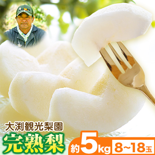 大渕観光梨園 完熟梨 (あきづき 新高梨 新興梨 のいずれか) 約5kg (8〜18玉) 熊本県長洲町産 [9月上旬-12月中旬頃出荷]フルーツ 梨 なし