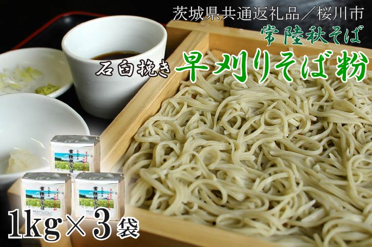 茨城県行方市のふるさと納税 DX-1【茨城県共通返礼品/桜川市】【常陸秋そば】石臼挽き早刈りそば粉1ｋｇ×3袋入