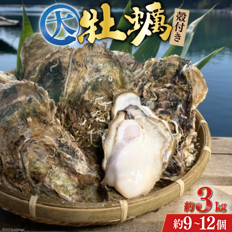 【TVで紹介！】 牡蠣 大粒 3～4年モノ 生食 殻付き牡蠣 約3kg(約9-12個入) [住喜水産 宮城県 気仙沼市 20562174] 期間限定  冷蔵 新鮮 濃厚 真牡蠣 カキ かき 生牡蠣 魚貝類 生牡蠣 貝 海鮮 魚介類 なべ カキフライ 牡蠣ご飯 魚介|住喜水産