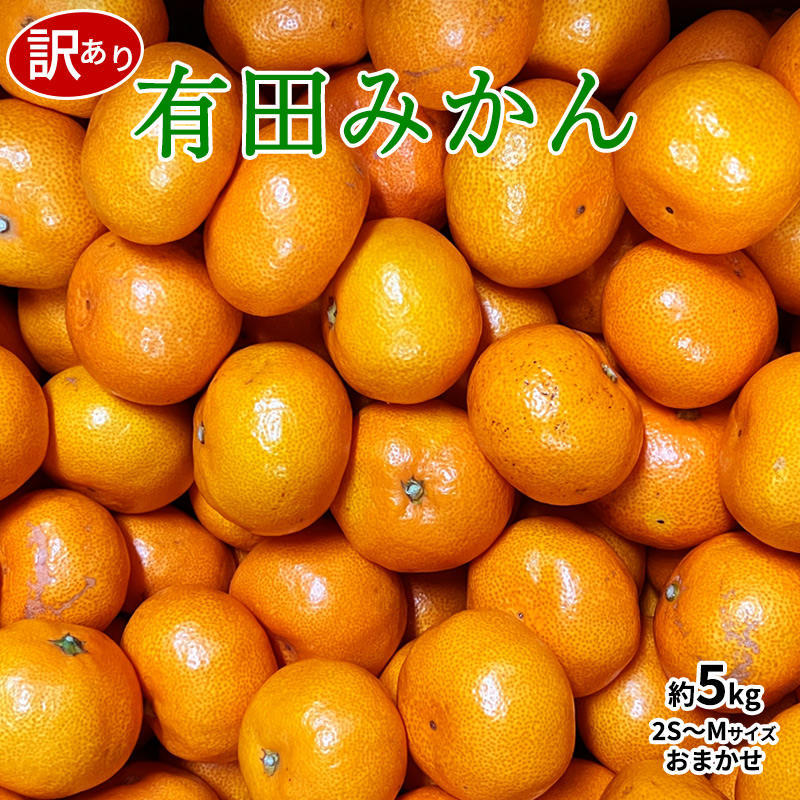 古典 有田 田村のこだわり美味しい青バレンシアオレンジ 5キロ食べ用