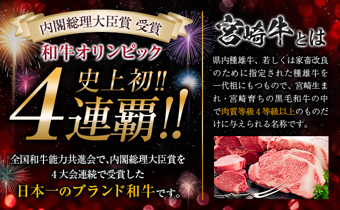 数量限定 6か月 お楽しみ 定期便 宮崎牛 贅沢 満喫 セット 総重量2.5kg 肉 牛 牛肉 黒毛和牛 国産 人気 食品 焼肉 ステーキ  送料無料_LD1-23|株式会社ミヤチク