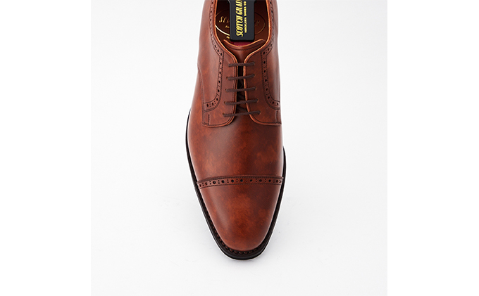 スコッチグレイン 紳士靴 「シャインオアレインIV」 NO.2773BR メンズ