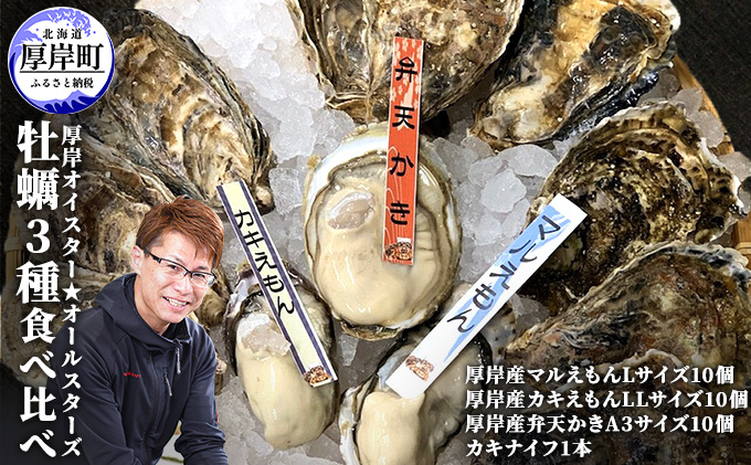 北海道厚岸町のふるさと納税 北海道 牡蠣 3種 食べ比べ セット 厚岸オイスター★オールスターズ 生食