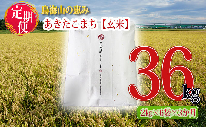 《定期便》12kg×3ヶ月 秋田県産 あきたこまち 玄米 2kg×6袋 神宿る里の米「ひの米」（お米 小分け）