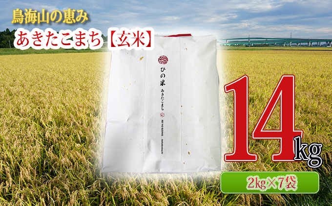 小分け）　あきたこまち　秋田県産　14kg（2kg×7袋）神宿る里の米「ひの米」（お米　玄米　クチコミで探すならふるさと納税ニッポン！
