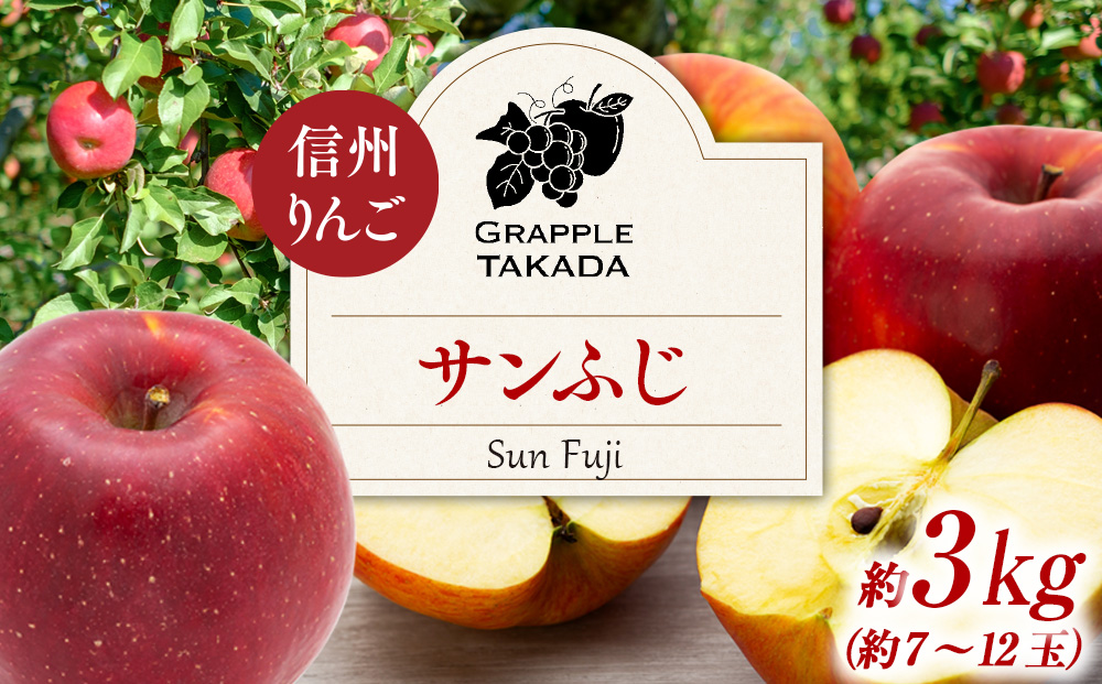 信州りんご サンふじ3kg ※オンライン決済限定 りんご リンゴ 信州りんご サンふじ3kg ※オンライン決済限定 りんご リンゴ
