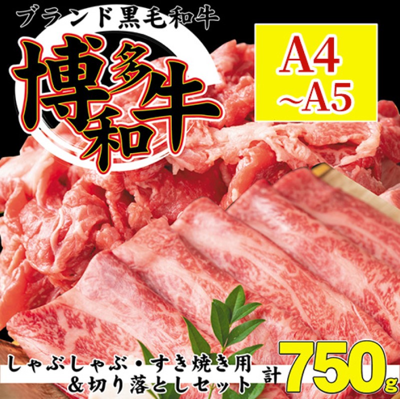 （福岡県朝倉市）　）　すき焼き　500g　スライス　和牛　（　数量限定　250g　切り落とし　・　しゃぶしゃぶ　博多　セット　ふるさと納税サイト「ふるさとプレミアム」　A4以上　750g