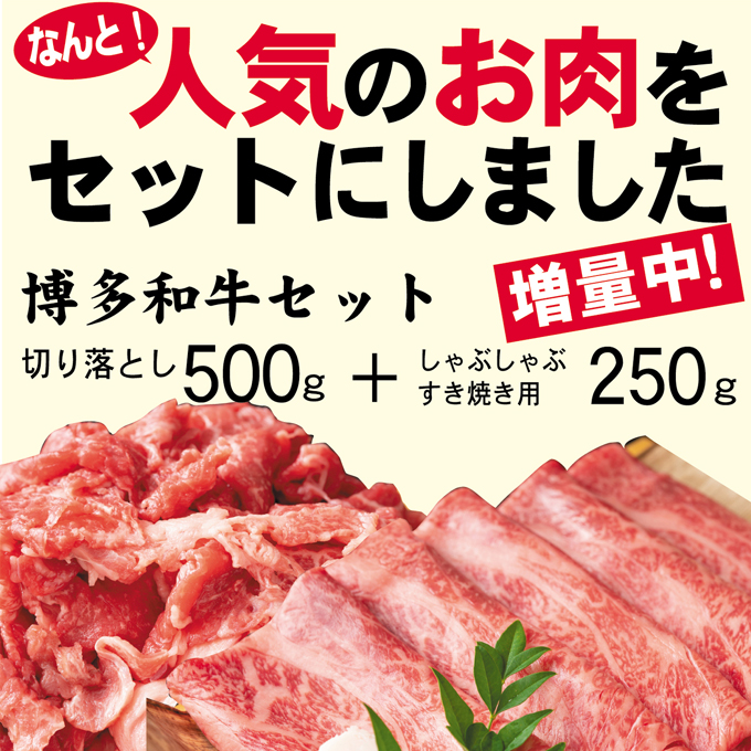 数量限定 博多 和牛 A4以上 しゃぶしゃぶ すき焼き 750g セット （ スライス 250g ・ 切り落とし 500g ）※配送不可：離島（福岡県 朝倉市） | ふるさと納税サイト「ふるさとプレミアム」