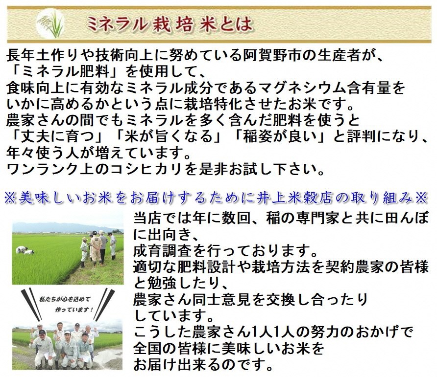 新潟県阿賀野市のふるさと納税 【令和6年産新米予約】新潟人気米セット 6kg(2kg×3種) ミネラル栽培コシヒカリ 新之助 こしいぶき 精米 白米 井上米穀店 11月上旬より順次発送予定 1I09013