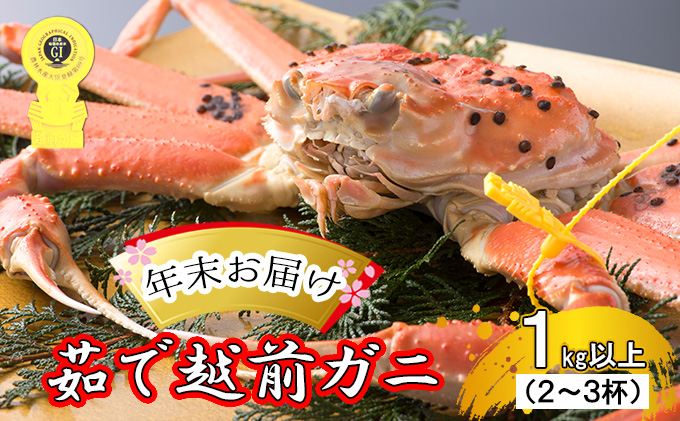 茹で越前ガニ【年末お届け】食通もうなる本場の味をぜひ、ご堪能ください。約1kg以上（2～3杯）訳あり（脚折れ含む）越前がに 越前かに ずわいがに  かに カニ ボイルガニ