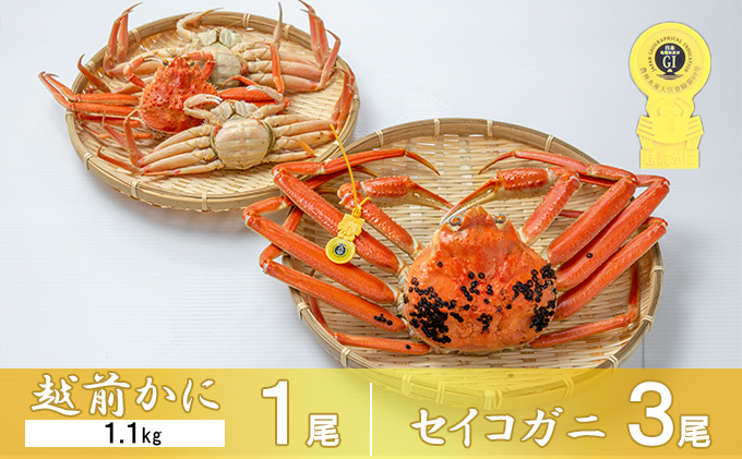 茹で越前ガニ【期間限定】食通もうなる本場の味をぜひ、ご堪能ください。セイコガニセット 約1.1kg＋セイコガニ3杯 越前がに 越前かに 越前カニ カニ ボイルガニ