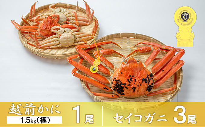 越前カニ　ボイルガニ（福井県若狭町）　越前がに　茹で越前ガニ【期間限定】食通もうなる本場の味をぜひ、ご堪能ください。セイコガニセット　約1.5kg（極）＋セイコガニ3杯　ふるさと納税サイト「ふるさとプレミアム」　越前かに　カニ