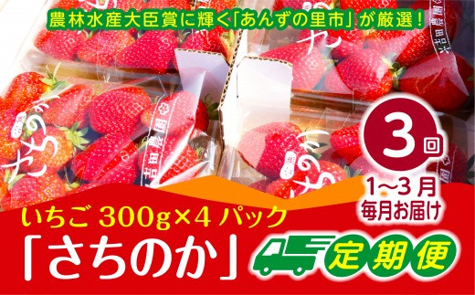 福岡県福津市のふるさと納税 【2025年1～3月発送】【3ヶ月定期便】「さちのか」いちご　約300g×4Pを3回お届け[F7007]