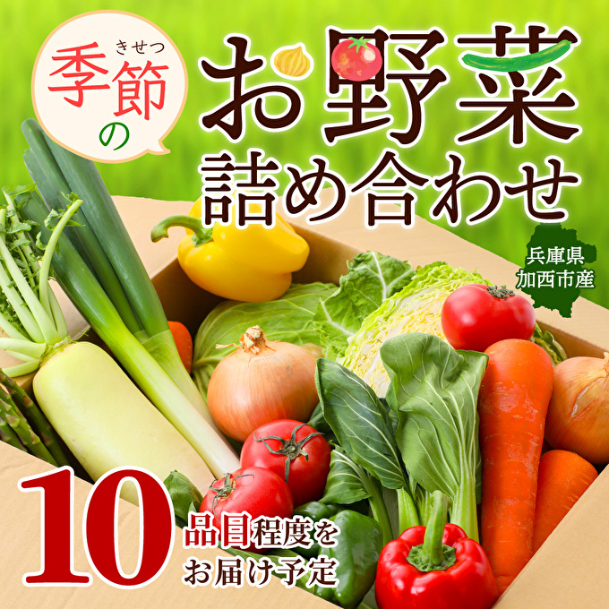 野菜セット　加西市産　兵庫県加西市　季節の野菜詰め合わせセット　季節の野菜10品程度　セゾンのふるさと納税