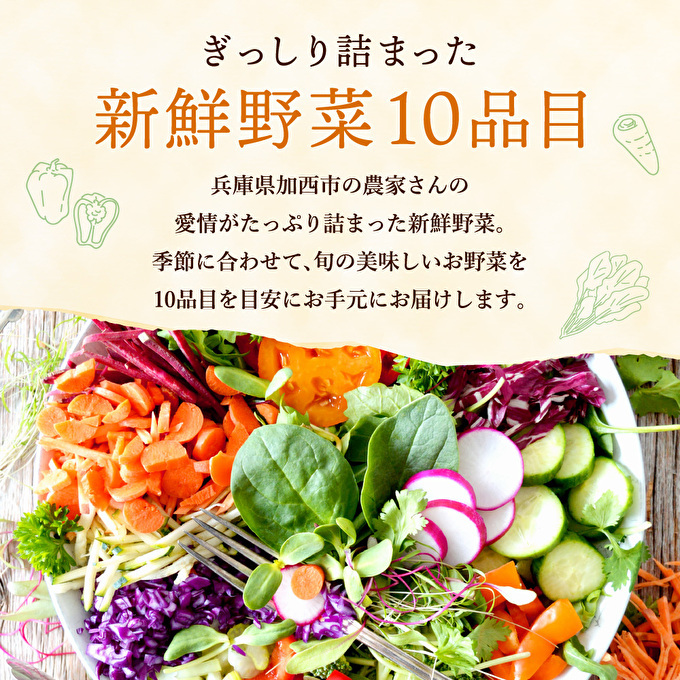 兵庫県加西市のふるさと納税 野菜セット 加西市産 季節の野菜詰め合わせセット 季節の野菜10品程度