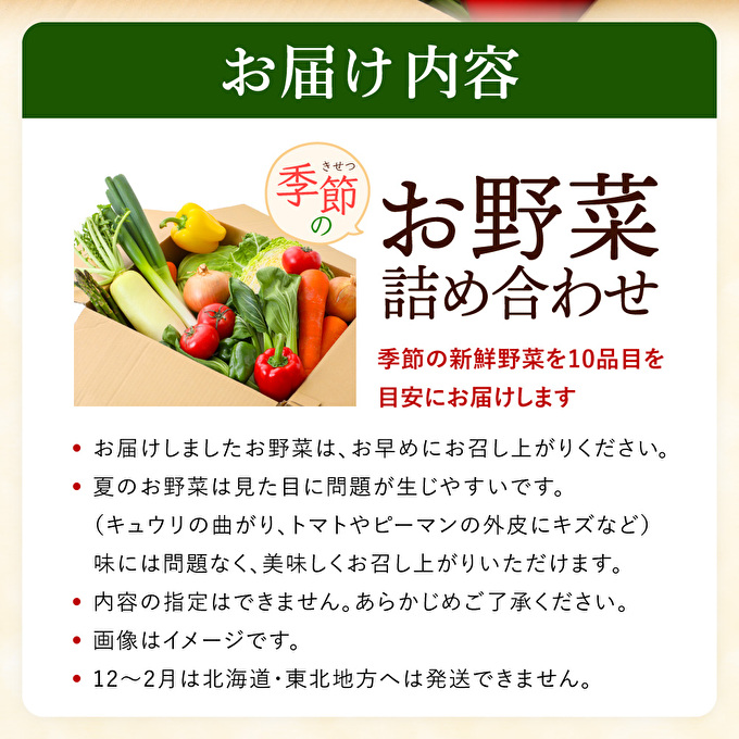 兵庫県加西市のふるさと納税 野菜セット 加西市産 季節の野菜詰め合わせセット 季節の野菜10品程度