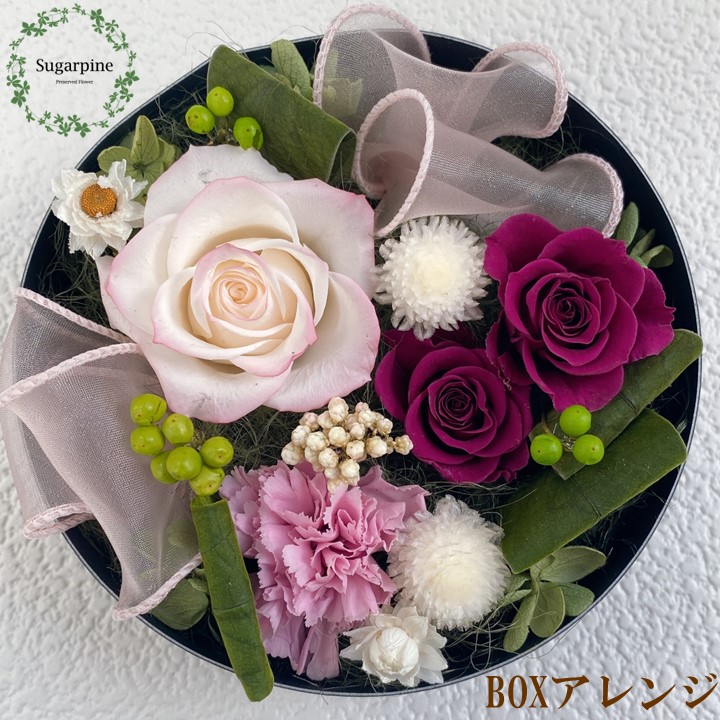 AJ075-1 プリザーブドフラワーアレンジ【レガロ/ボルドー】春日部市