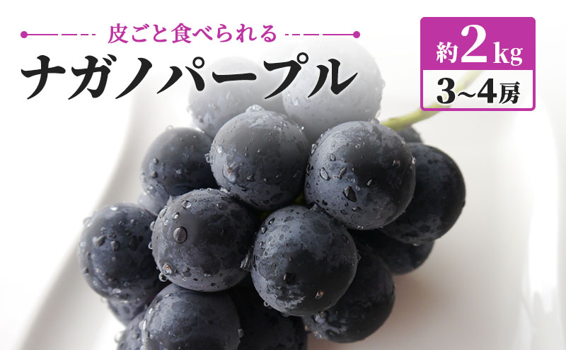 ナガノパープル 約2kg 3～4房 皮ごと食べられる ぶどう 長野 坂城町産 ブドウ フルーツ 果物
