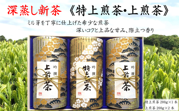 静岡県袋井市のふるさと納税 深蒸し新茶《特上煎茶[200ｇ×1本]・上煎茶[200ｇ×2本]》