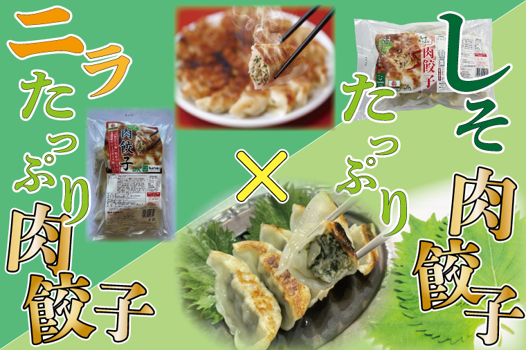 【茨城県行方市】AE-51【ローズポーク使用】JA・しそたっぷり肉餃子(30個)&ニラたっぷり肉餃子(30個)セット
