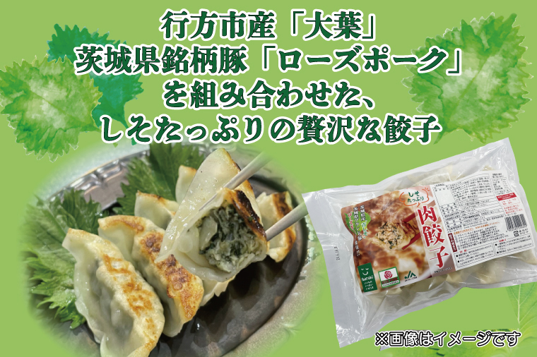 茨城県行方市のふるさと納税 AE-51【ローズポーク使用】JA・しそたっぷり肉餃子（30個）＆ニラたっぷり肉餃子（30個）セット