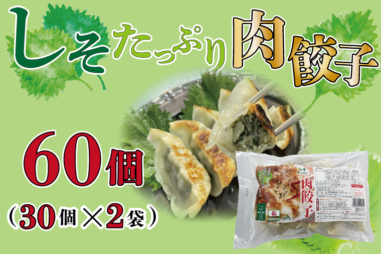 【茨城県行方市】AE-52【ローズポーク使用】JA・しそたっぷり肉餃子(30個)2袋