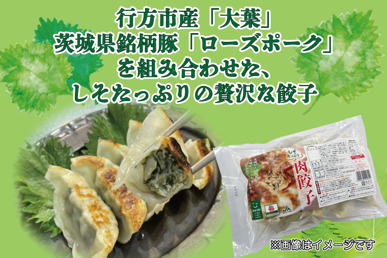 茨城県行方市のふるさと納税 AE-57 冷凍焼き芋（6本）＆しそたっぷり肉餃子（30個）セット