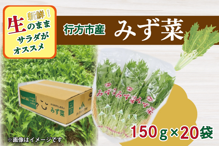【茨城県行方市】AE-53 JAなめがたしおさい直送「みず菜」150g×20袋