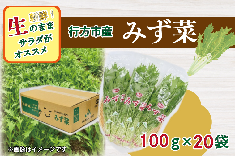 y錧sszAE-54 JAȂ߂u݂؁v100g×20