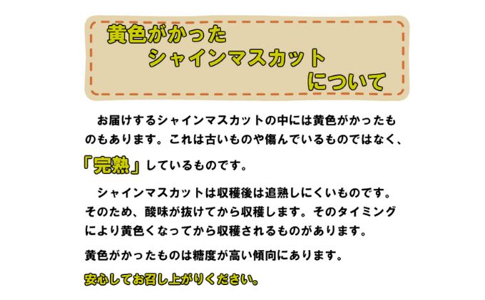 ぶどう［2023年先行予約］糖度抜群！ シャインマスカット 【9月上旬～順次発送分】約2kg【配達不可：離島】 / 岡山県玉野市 | セゾンの ふるさと納税