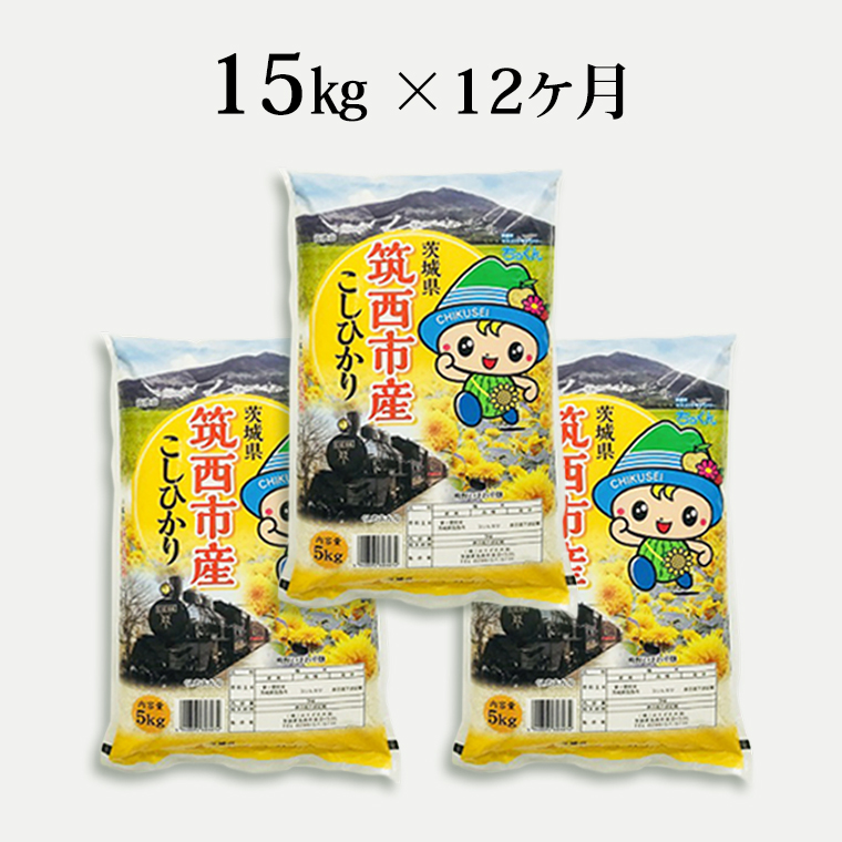 【 定期便 12ヶ月 】茨城県筑西市産 コシヒカリ15kg 三ツ星 マイスター 米 コメ コシヒカリ こしひかり 茨城県 単一米 精米  [CH018ci]|株式会社みたざき米穀