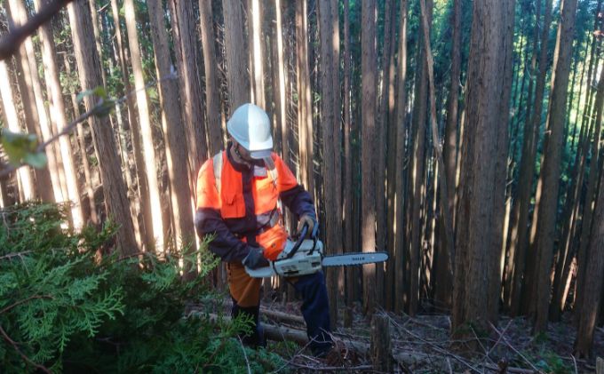 京都府南山城村のふるさと納税 【アウトドア～キャンプに！～】薪（広葉樹：ナラ）細割り 約13kg・30cm アウトドア用品 キャンプ用品 南山城村産 広葉樹の薪 コンパクト 本格的 焚火 焚き火用 ソロキャン デイキャンプ