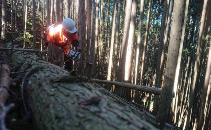 京都府南山城村のふるさと納税 【アウトドア～キャンプに！～】薪（広葉樹：ナラ）細割り 約13kg・30cm アウトドア用品 キャンプ用品 南山城村産 広葉樹の薪 コンパクト 本格的 焚火 焚き火用 ソロキャン デイキャンプ