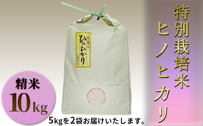 特別栽培米　クチコミで探すならふるさと納税ニッポン！　ヒノヒカリ　精米10kg（5kg×2袋）