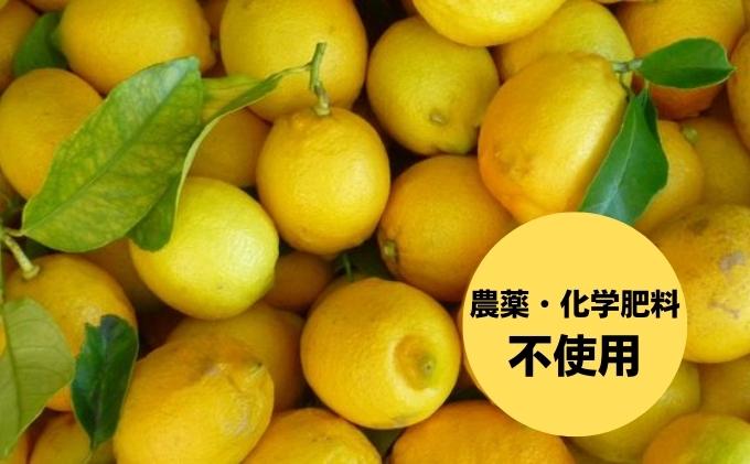 小豆島 】 豊島レモン サイダー 250ml 6本 檸檬 レモン 爽やか