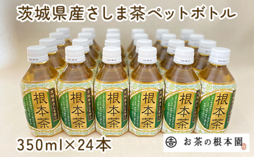 No.172 根本茶ペットボトル ／ お茶 さしま茶 ペットボトル飲料 茨城県|有限会社ネモト