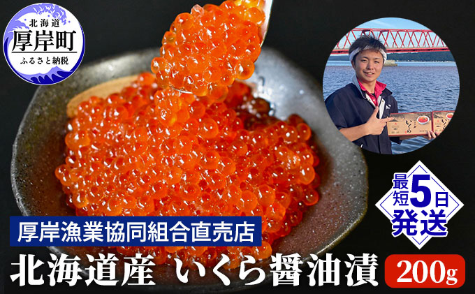 北海道産 いくら 醤油漬け 200g 魚貝類 魚卵 いくら醤油漬け 北海道産 いくら 醤油漬け 200g 魚貝類 魚卵 いくら醤油漬け