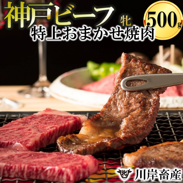 【兵庫県西脇市】神戸牛 牝 特上 焼肉 おまかせセット(500g)【冷蔵】神戸ビーフ