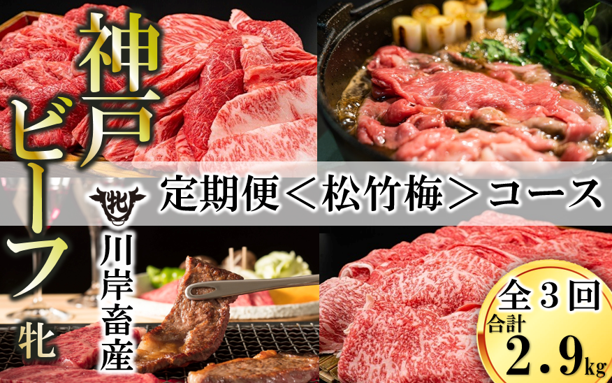 【兵庫県西脇市】【神戸牛/神戸ビーフ 定期便】神戸ビーフを味わい尽くす〈松竹梅〉定期便コース(合計2,900g)