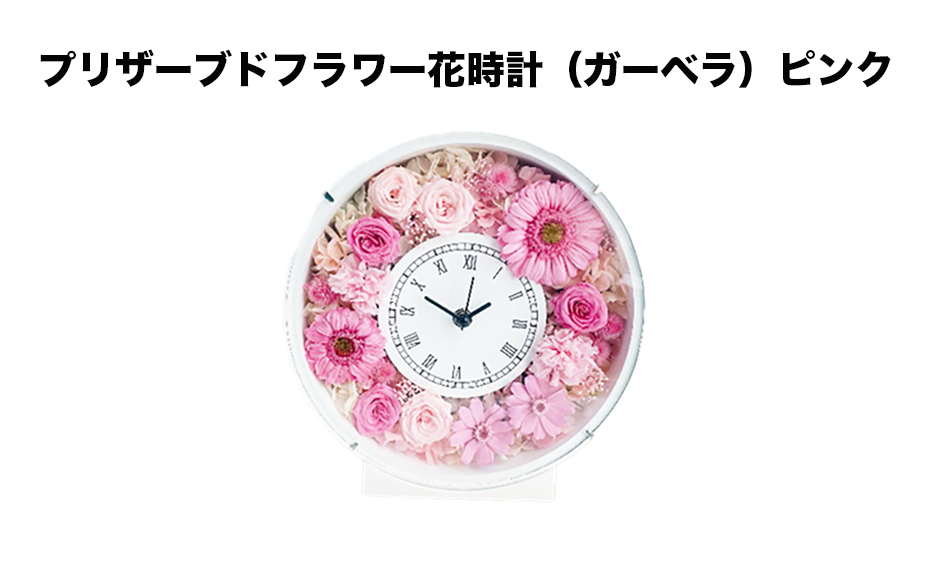 プリザーブドフラワー花時計（ガーベラ）ピンク
