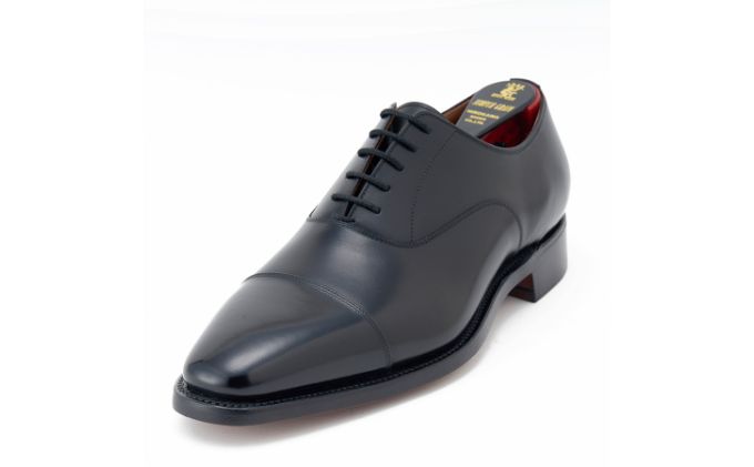 スコッチグレイン 紳士靴 ふるさと納税限定品 「フィオレット」 FI2223 メンズ 靴 シューズ ビジネス ビジネスシューズ 仕事用